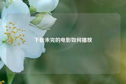 下载未完的电影如何播放