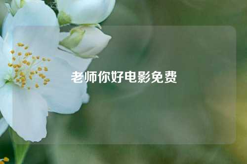 老师你好电影免费