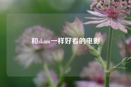 和skam一样好看的电影