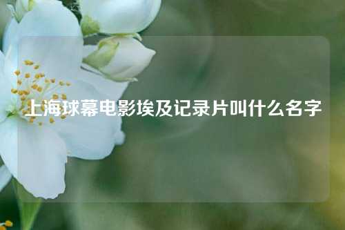 上海球幕电影埃及记录片叫什么名字