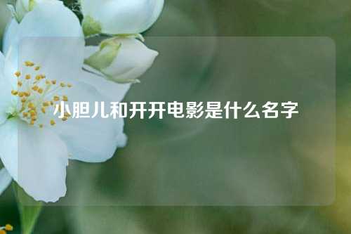 小胆儿和开开电影是什么名字