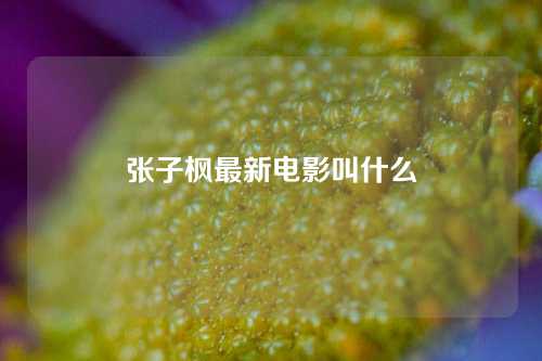 张子枫最新电影叫什么