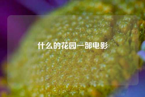 什么的花园一部电影