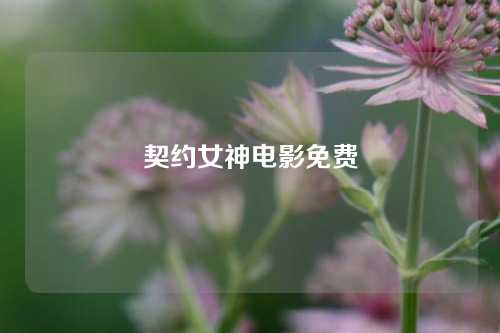 契约女神电影免费