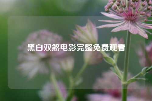 黑白双煞电影完整免费观看