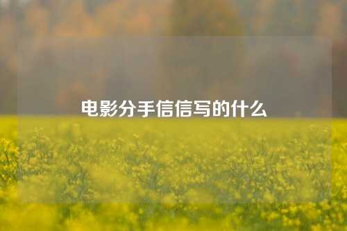 电影分手信信写的什么