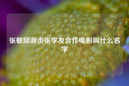 张敏邱淑贞张学友合作电影叫什么名字