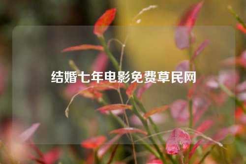 结婚七年电影免费草民网