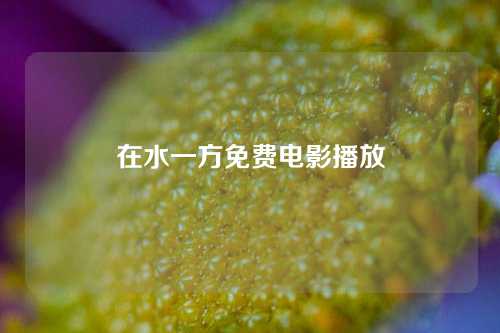 在水一方免费电影播放