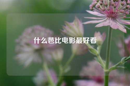 什么芭比电影最好看