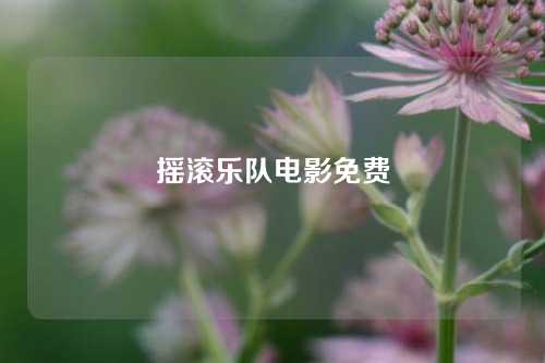 摇滚乐队电影免费