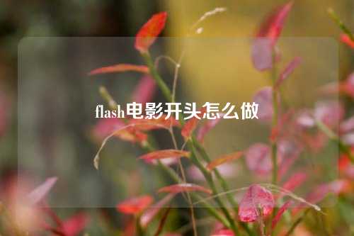 flash电影开头怎么做