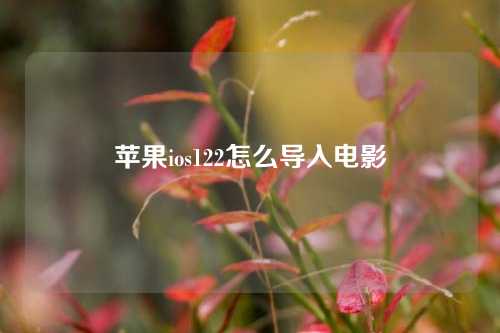 苹果ios122怎么导入电影