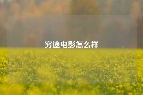 穷途电影怎么样