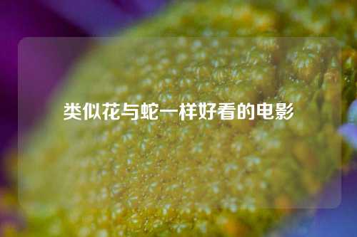 类似花与蛇一样好看的电影