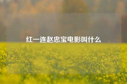 红一连赵忠宝电影叫什么