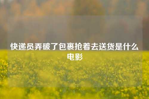 快递员弄破了包裹抢着去送货是什么电影