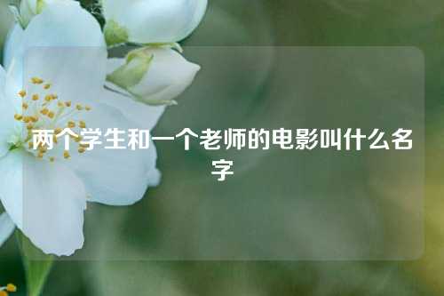 两个学生和一个老师的电影叫什么名字