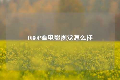 1080P看电影视觉怎么样