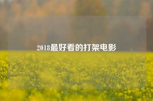 2018最好看的打架电影