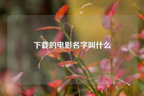 下载的电影名字叫什么