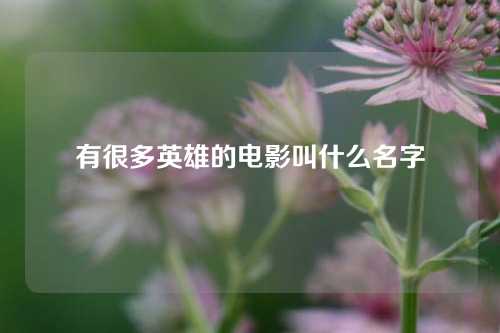 有很多英雄的电影叫什么名字