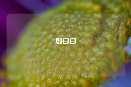 剧白白