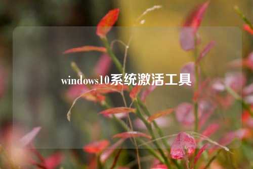 windows10系统激活工具