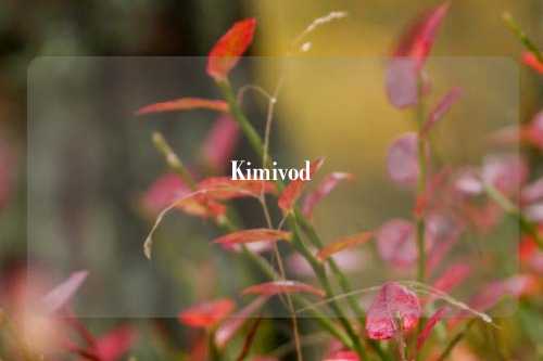 Kimivod