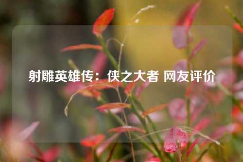 射雕英雄传：侠之大者 网友评价