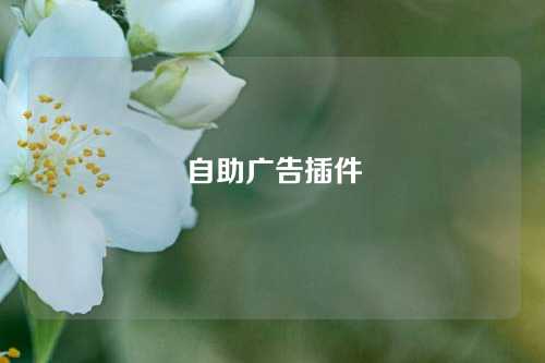 自助广告插件